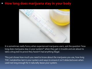 How long does marijuana stay in your body