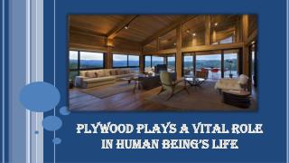 Plywood plays a vital role in human being’s life