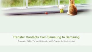 Transfer Contacts between Two Android Phones