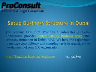 Setup Business Structure in Dubai