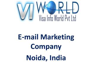 Website Development(9899756694) Company in Noida India-visainfoworld.com
