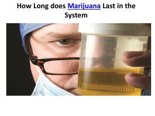 How long does marijuana last in the system