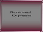Direct wet mount KOH preparations