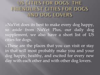 US Cities for Dogs: The Friendliest Cities for Dogs and Dog Lovers