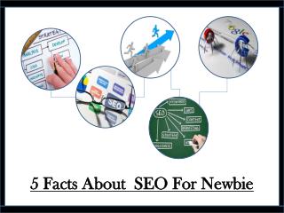 5 Facts About SEO For Newbie