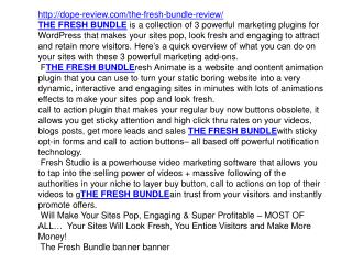 THE FRESH BUNDLE REVIEW