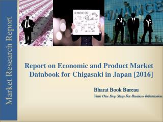 Report on Economic and Product Market Databook for Chigasaki in Japan [2016]