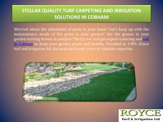 STELLAR QUALITY TURF CARPETING AND IRRIGATION SOLUTIONS IN COBHAM