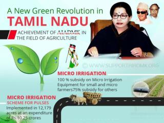 An Infography on Green Revolution in Tamil Nadu