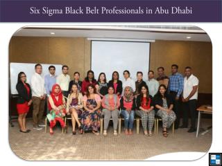 Six Sigma Black Belt Professionals in Abu Dhabi
