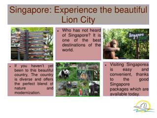 Singapore: Experience the beautiful Lion City