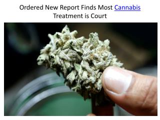 Ordered New Report Finds Most Cannabis Treatment is