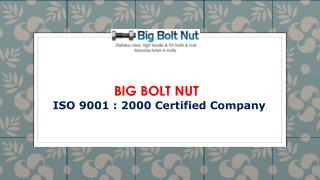 SS Fastener Manufacturers: Big Bolt Nut India