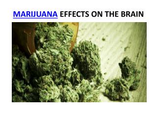 marijuana effects on the brain