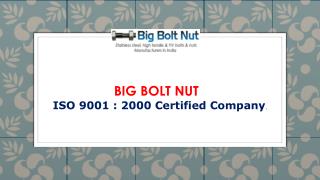 SS Fastener Manufacturers: Big Bolt Nut India