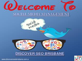 Best Social Media Management By Discover SEO Brisbane