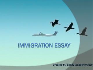 Immigration Essay