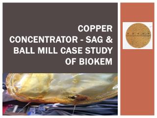 Copper Concentrator - SAG & Ball Mill Case Study of Biokem