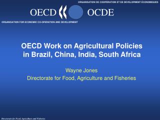 OECD Work on Agricultural Policies in Brazil, China, India, South Africa