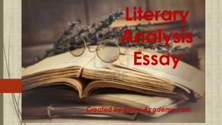 Literary Analysis Essay