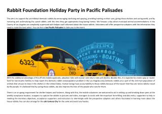 Rabbit Foundation Holiday Party in Pacific Palisades