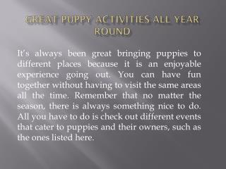 Great Puppy Activities All Year Round