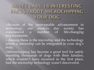 NuVet Labs Reviews: 18 Interesting Facts about Microchipping your Dog