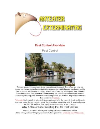 Pest Control Avondale