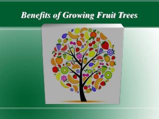 Benefits of Growing Fruit Trees