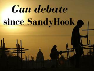 Gun debate since Sandy Hook