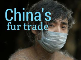 China's fur trade