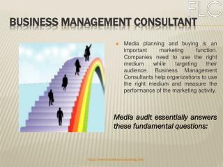 Business Management Consultant