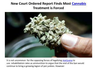 New Court Ordered Report Finds Most Cannabis Treatment is Forced