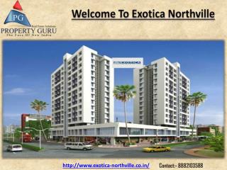 Exotica Northville