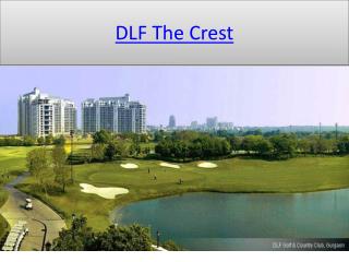 DLF The Crest in sector 54 Gurgaon