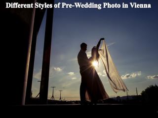 Different Styles of Pre-Wedding Photo in Vienna