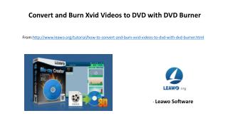 Convert and burn xvid videos to dvd with dvd burner