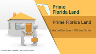 Owner Financed Land For Sale - Florida Land