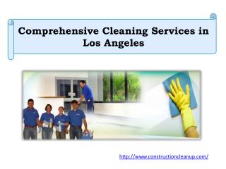 Comprehensive Cleaning Services in Los Angeles