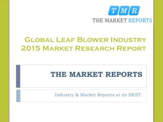 Global Leaf Blower Industry 2015 Market Research Report