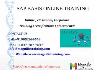 SAP BASIS ONLINE TRAINING IN SOUTH AFRICA,CANADA