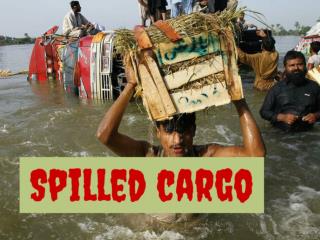 Spilled cargo