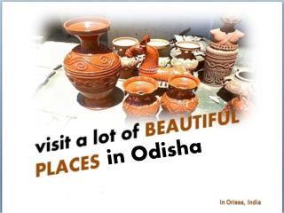 Visakha Travels – The Best Tour Operator in Orissa