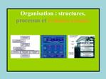 Organisation : structures, processus et syst mes sociaux