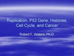 Replication, P53 Gene, Histones, Cell Cycle, and Cancer