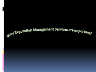 Why Reputation Management Services are important?