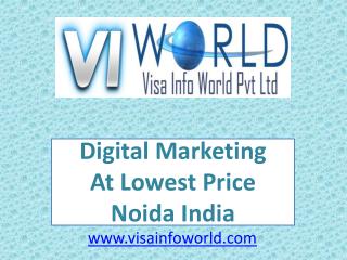 lowest price(9899756694) internet marketing in noida-visainfoworld.com