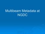 Multibeam Metadata at NGDC