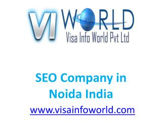 Website Development (9899756694) Company in Noida India-visainfoworld.com
