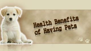 Health Benefits Of Having Pets